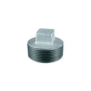 Tapa Tornillo Galvanizado BSP